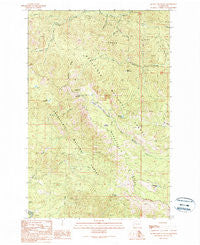 Quartz Mountain Washington Historical topographic map, 1:24000 scale, 7.5 X 7.5 Minute, Year 1989