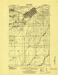 Quinault Lake Washington Historical topographic map, 1:62500 scale, 15 X 15 Minute, Year 1921