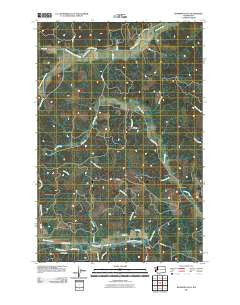 Rainbow Falls Washington Historical topographic map, 1:24000 scale, 7.5 X 7.5 Minute, Year 2011