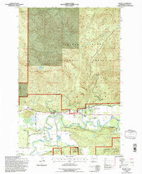 Randle Washington Historical topographic map, 1:24000 scale, 7.5 X 7.5 Minute, Year 1994