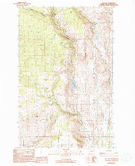 Rat Lake Washington Historical topographic map, 1:24000 scale, 7.5 X 7.5 Minute, Year 1989