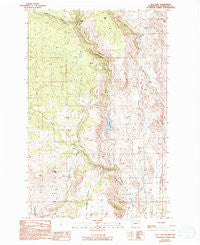 Rat Lake Washington Historical topographic map, 1:24000 scale, 7.5 X 7.5 Minute, Year 1989