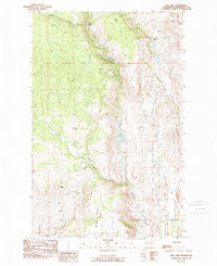 Rat Lake Washington Historical topographic map, 1:24000 scale, 7.5 X 7.5 Minute, Year 1989