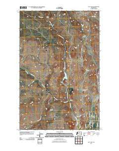 Rat Lake Washington Historical topographic map, 1:24000 scale, 7.5 X 7.5 Minute, Year 2011