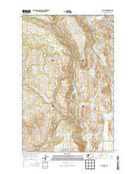 Rat Lake Washington Current topographic map, 1:24000 scale, 7.5 X 7.5 Minute, Year 2014