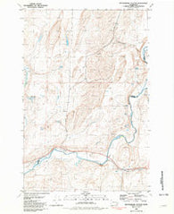 Rattlesnake Canyon Washington Historical topographic map, 1:24000 scale, 7.5 X 7.5 Minute, Year 1981