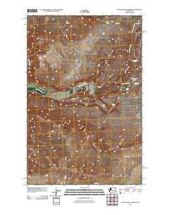 Rattlesnake Springs Washington Historical topographic map, 1:24000 scale, 7.5 X 7.5 Minute, Year 2011