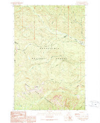 Raven Roost Washington Historical topographic map, 1:24000 scale, 7.5 X 7.5 Minute, Year 1989
