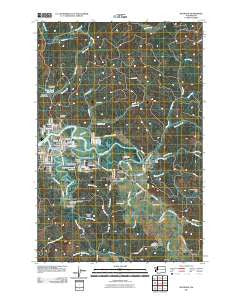 Raymond Washington Historical topographic map, 1:24000 scale, 7.5 X 7.5 Minute, Year 2011