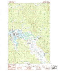 Raymond Washington Historical topographic map, 1:24000 scale, 7.5 X 7.5 Minute, Year 1986
