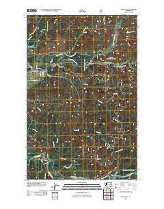 Reade Hill Washington Historical topographic map, 1:24000 scale, 7.5 X 7.5 Minute, Year 2011