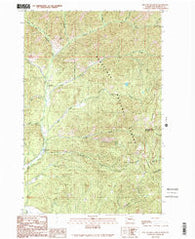 Red Top Mountain Washington Historical topographic map, 1:24000 scale, 7.5 X 7.5 Minute, Year 1989