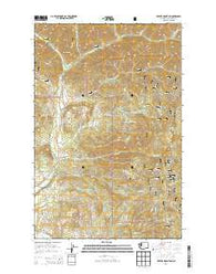 Red Top Mountain Washington Current topographic map, 1:24000 scale, 7.5 X 7.5 Minute, Year 2014