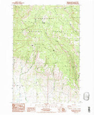 Reecer Canyon Washington Historical topographic map, 1:24000 scale, 7.5 X 7.5 Minute, Year 1985