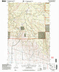 Reecer Canyon Washington Historical topographic map, 1:24000 scale, 7.5 X 7.5 Minute, Year 2003