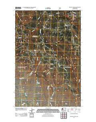 Reecer Canyon Washington Historical topographic map, 1:24000 scale, 7.5 X 7.5 Minute, Year 2011