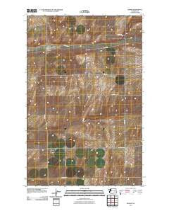 Reiman Washington Historical topographic map, 1:24000 scale, 7.5 X 7.5 Minute, Year 2011