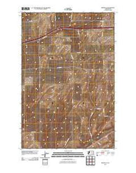 Reiman SE Washington Historical topographic map, 1:24000 scale, 7.5 X 7.5 Minute, Year 2011