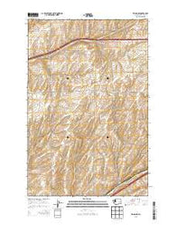 Reiman SE Washington Current topographic map, 1:24000 scale, 7.5 X 7.5 Minute, Year 2013