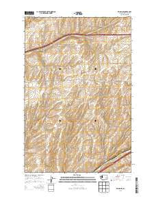 Reiman SE Washington Current topographic map, 1:24000 scale, 7.5 X 7.5 Minute, Year 2013