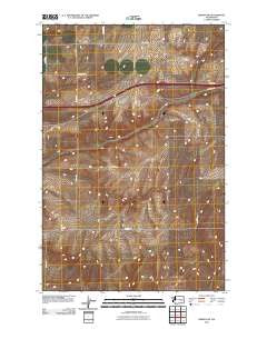 Reiman SW Washington Historical topographic map, 1:24000 scale, 7.5 X 7.5 Minute, Year 2011