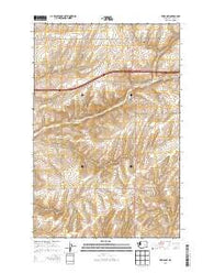 Reiman SW Washington Current topographic map, 1:24000 scale, 7.5 X 7.5 Minute, Year 2013