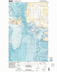 Richardson Washington Historical topographic map, 1:24000 scale, 7.5 X 7.5 Minute, Year 1998