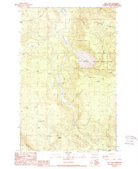 Riley Lake Washington Historical topographic map, 1:24000 scale, 7.5 X 7.5 Minute, Year 1989