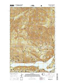 Rimrock Lake Washington Current topographic map, 1:24000 scale, 7.5 X 7.5 Minute, Year 2014