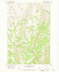 Robinette Mtn. Washington Historical topographic map, 1:24000 scale, 7.5 X 7.5 Minute, Year 1967