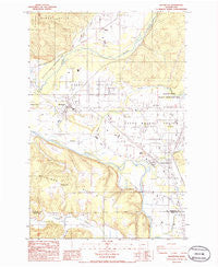 Rochester Washington Historical topographic map, 1:24000 scale, 7.5 X 7.5 Minute, Year 1986