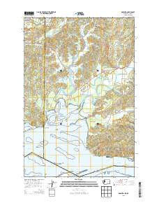 Rosburg Washington Current topographic map, 1:24000 scale, 7.5 X 7.5 Minute, Year 2014