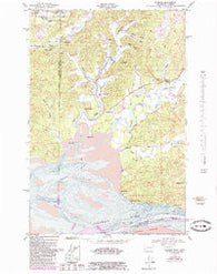 Rosburg Washington Historical topographic map, 1:24000 scale, 7.5 X 7.5 Minute, Year 1949
