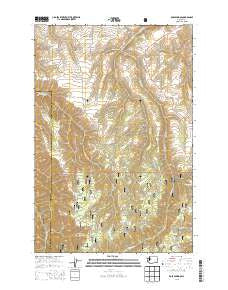 Rose Springs Washington Current topographic map, 1:24000 scale, 7.5 X 7.5 Minute, Year 2013