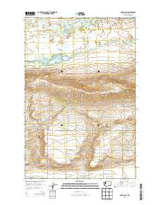 Royal Camp Washington Current topographic map, 1:24000 scale, 7.5 X 7.5 Minute, Year 2013