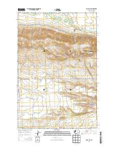 Royal City Washington Current topographic map, 1:24000 scale, 7.5 X 7.5 Minute, Year 2013