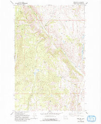 Ruby Hill Washington Historical topographic map, 1:24000 scale, 7.5 X 7.5 Minute, Year 1980