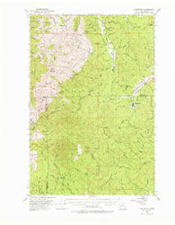Ryderwood Washington Historical topographic map, 1:62500 scale, 15 X 15 Minute, Year 1953