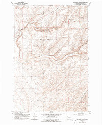 Rye Grass Coulee Washington Historical topographic map, 1:24000 scale, 7.5 X 7.5 Minute, Year 1991