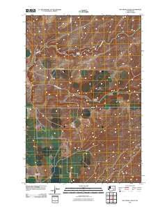 Rye Grass Coulee Washington Historical topographic map, 1:24000 scale, 7.5 X 7.5 Minute, Year 2011