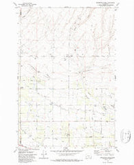Sagebrush Ridge Washington Historical topographic map, 1:24000 scale, 7.5 X 7.5 Minute, Year 1979
