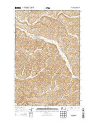 Saint John Washington Current topographic map, 1:24000 scale, 7.5 X 7.5 Minute, Year 2014