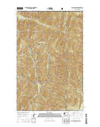 Salmo Mountain Washington Current topographic map, 1:24000 scale, 7.5 X 7.5 Minute, Year 2014