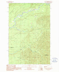 Salmon River East Washington Historical topographic map, 1:24000 scale, 7.5 X 7.5 Minute, Year 1990