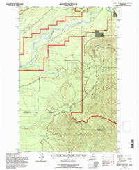 Salmon River East Washington Historical topographic map, 1:24000 scale, 7.5 X 7.5 Minute, Year 1995