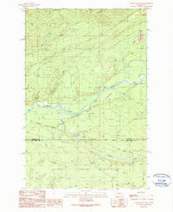 Salmon River West Washington Historical topographic map, 1:24000 scale, 7.5 X 7.5 Minute, Year 1990