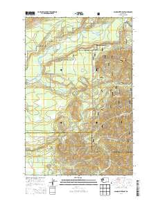 Salmon River East Washington Current topographic map, 1:24000 scale, 7.5 X 7.5 Minute, Year 2014