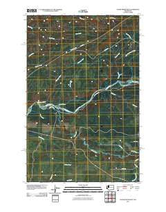 Salmon River West Washington Historical topographic map, 1:24000 scale, 7.5 X 7.5 Minute, Year 2011