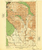 Samish Lake Washington Historical topographic map, 1:62500 scale, 15 X 15 Minute, Year 1918