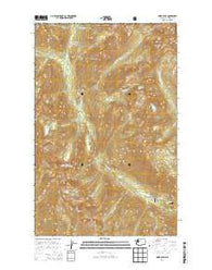 Saska Peak Washington Current topographic map, 1:24000 scale, 7.5 X 7.5 Minute, Year 2014